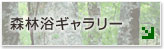 森林浴ギャラリー/マイナスイオン効果・フィトンチッド効果