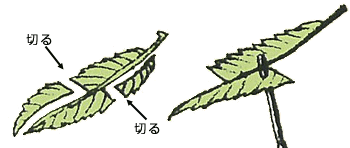 風車の作り方