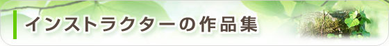 森林インストラクターの作品集